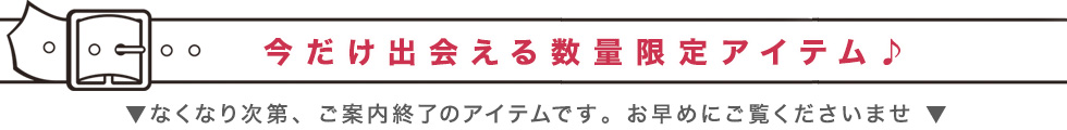ロベルタディカメリーノ　季節限定アイテム