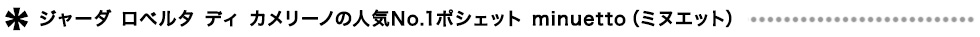 ロベルタディカメリーノ　	minuetto